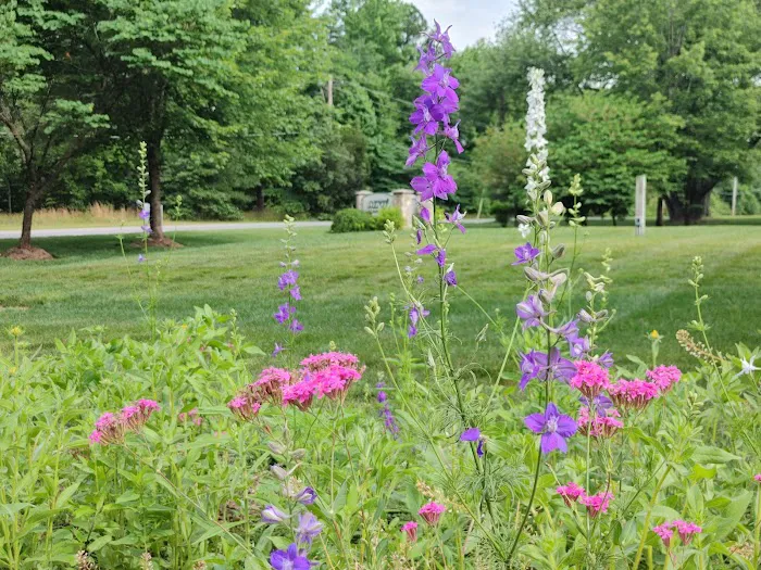 MRW Lawns, Inc. Picture 2
