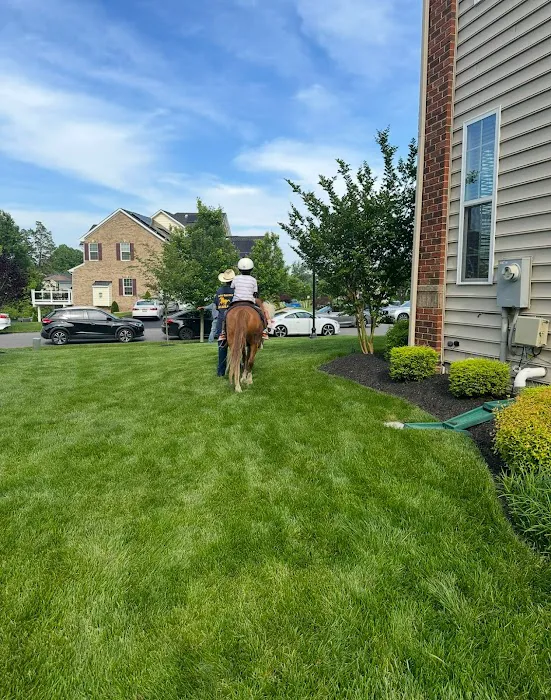 MRW Lawns, Inc. Picture 5