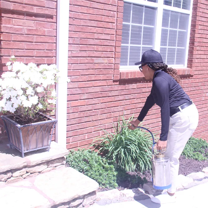 PestNow Picture 2