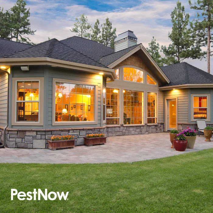 PestNow Picture 5
