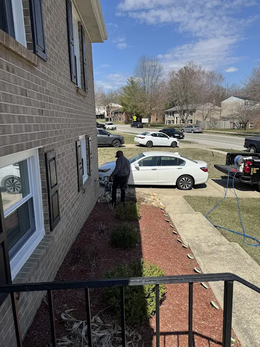 Lane's Termite Pest Inc Picture 1