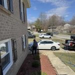Lane's Termite Pest Inc