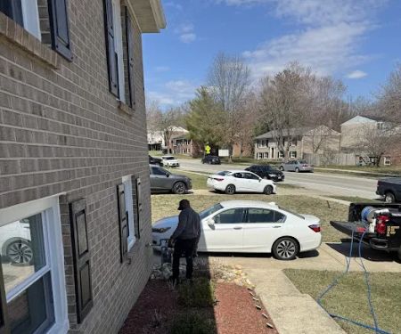 Lane's Termite Pest Inc