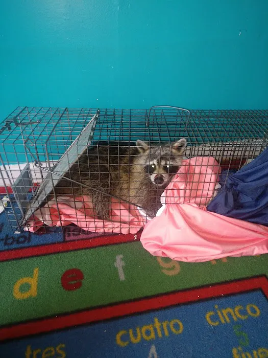 Alleviation Pest Control Picture 2