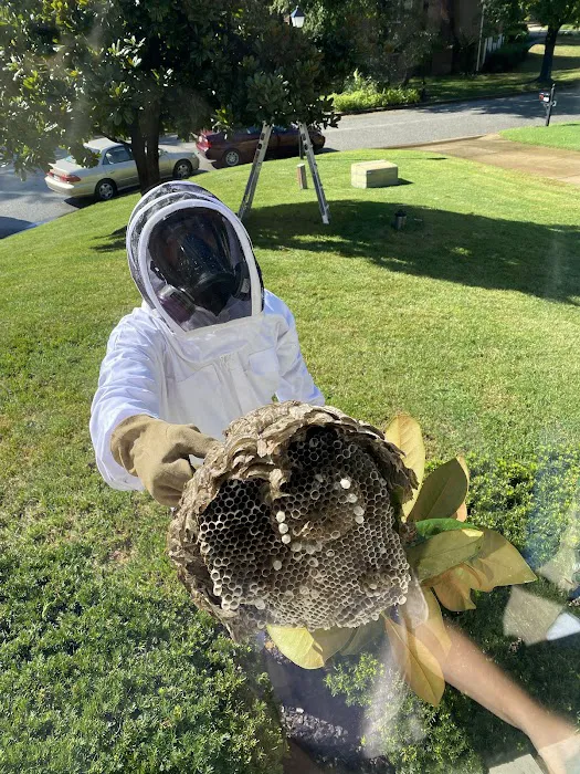 Alleviation Pest Control Picture 7