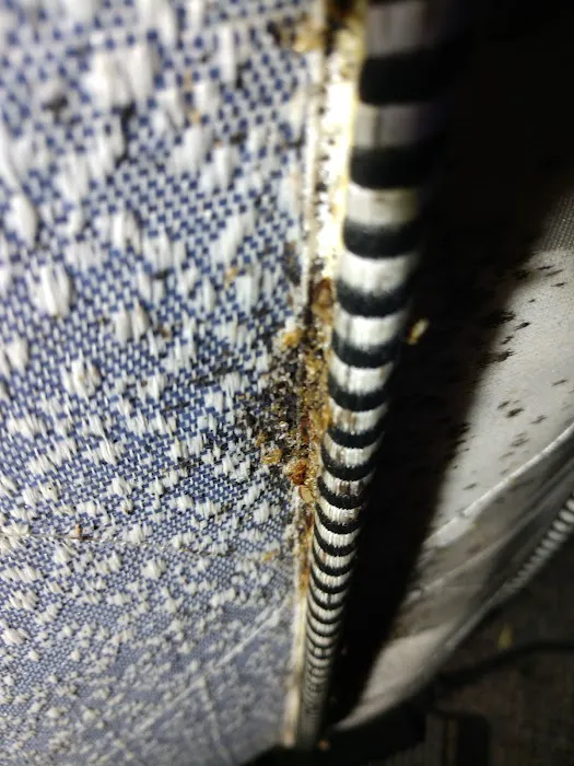 Alleviation Pest Control Picture 4