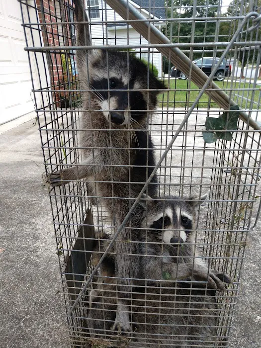 Alleviation Pest Control Picture 9