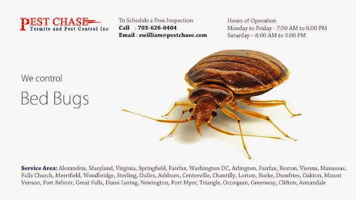 Pest Chase Termite and Pest Control Inc. Picture 6
