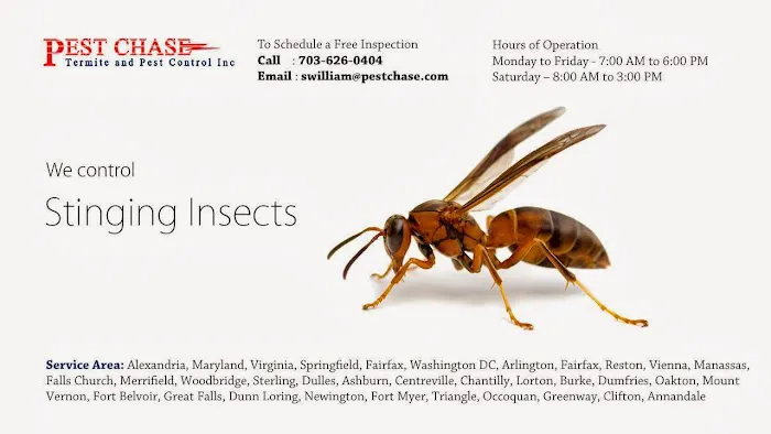Pest Chase Termite and Pest Control Inc. Picture 1