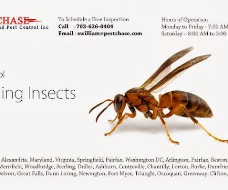Pest Chase Termite and Pest Control Inc.