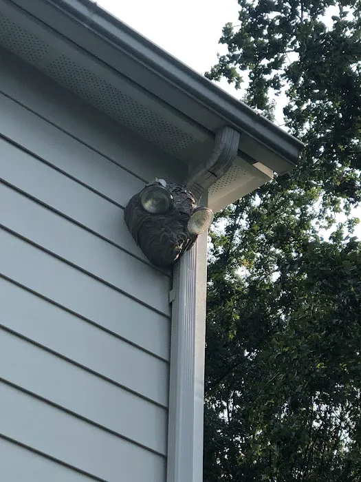 Pest Chase Termite and Pest Control Inc. Picture 5