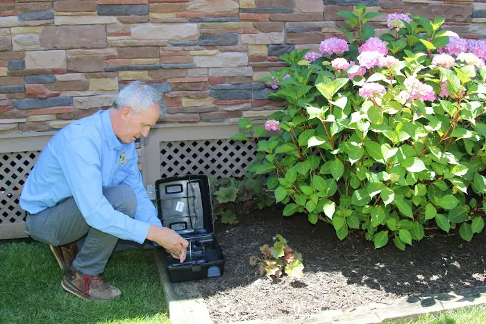 Better Termite & Pest Control Picture 4