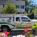 Better Termite & Pest Control