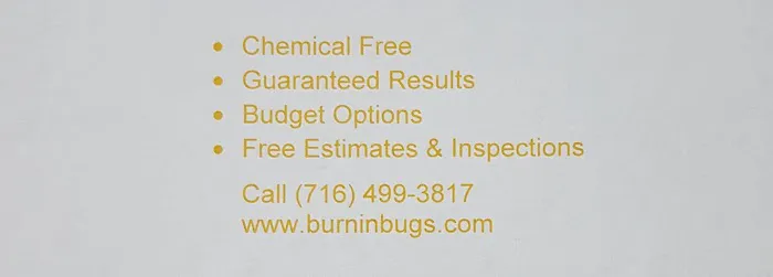 Burnin' Bugs Picture 1