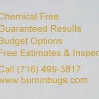 Burnin' Bugs ico