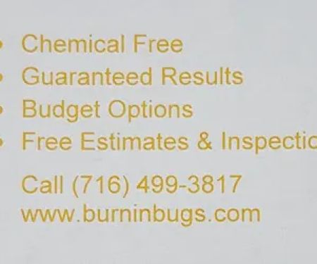 Burnin' Bugs