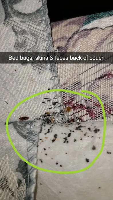 Burnin' Bugs Picture 10