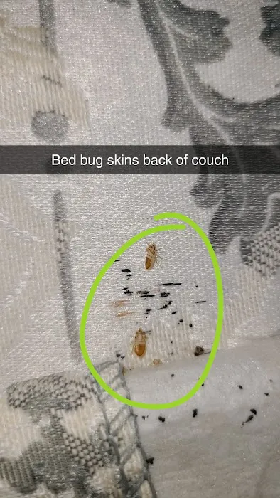 Burnin' Bugs Picture 4