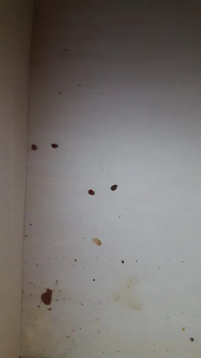 Burnin' Bugs Picture 3