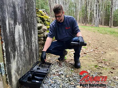 Advanced Pest Solutions Picture 5