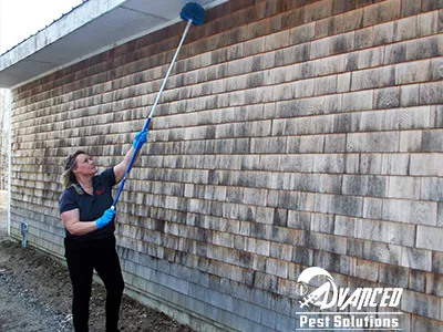 Advanced Pest Solutions Picture 1