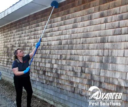 Advanced Pest Solutions
