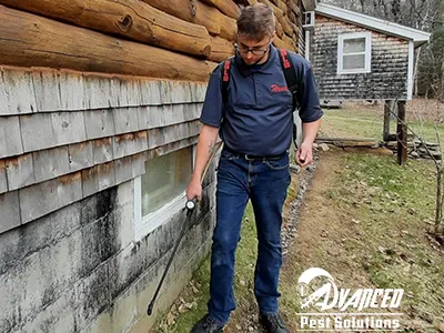 Advanced Pest Solutions Picture 7