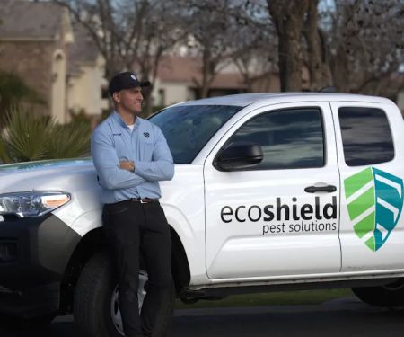 EcoShield Pest Solutions