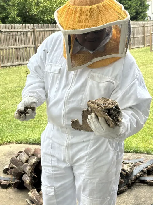 EcoShield Pest Solutions Picture 5