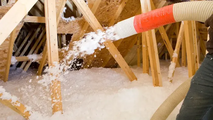 EcoShield Pest Solutions Picture 9