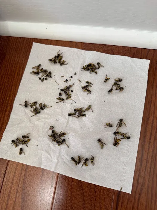 Aptive Pest Control Picture 9