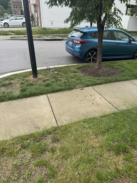 Aptive Pest Control Picture 4