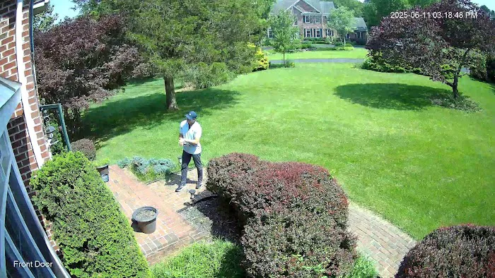 Moxie Pest Control Picture 7