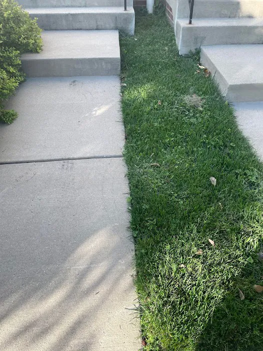 Moxie Pest Control Picture 10