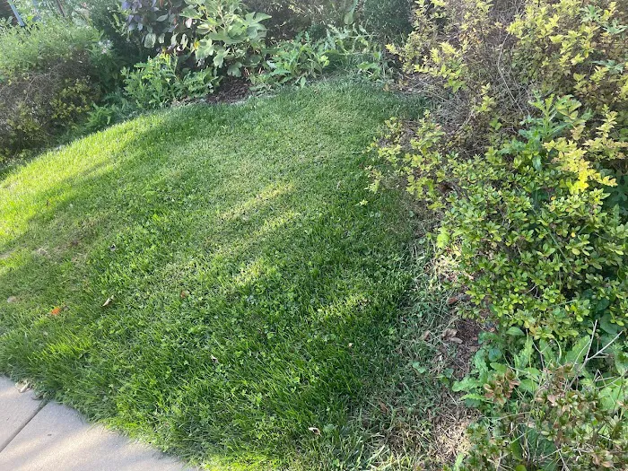 Moxie Pest Control Picture 4