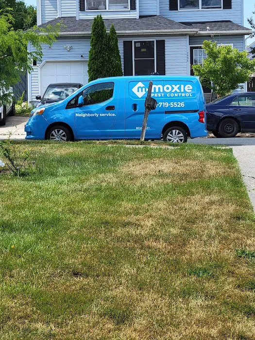 Moxie Pest Control Picture 8