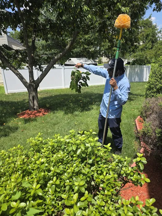 Moxie Pest Control Picture 2