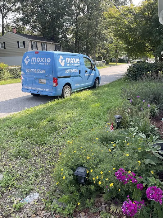 Moxie Pest Control Picture 9
