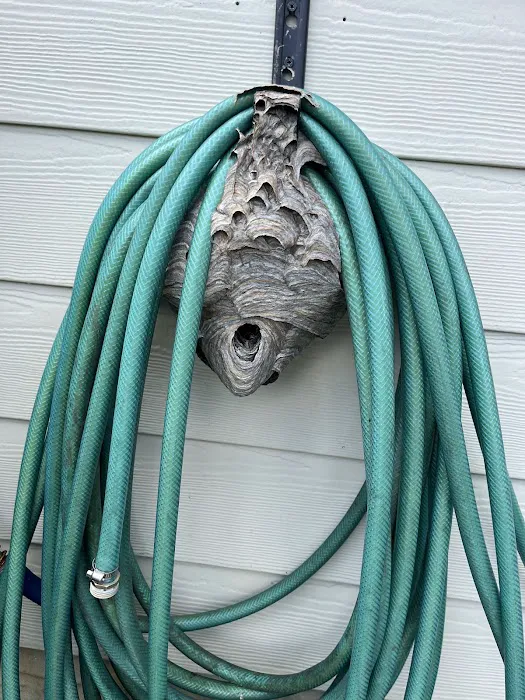ASAP Pest Control Picture 2
