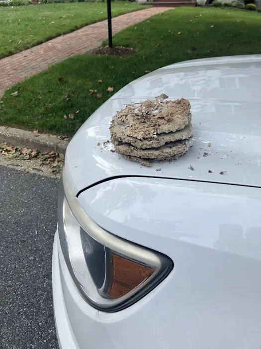Ehrlich Pest Control Picture 2