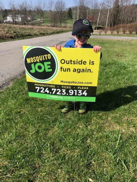Mosquito Joe Picture 6