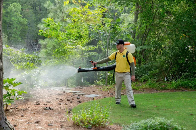 Mosquito Joe Picture 4