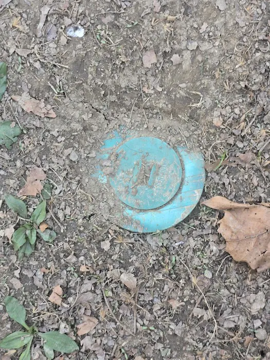 D-Bug Pest Control, Inc. Picture 4
