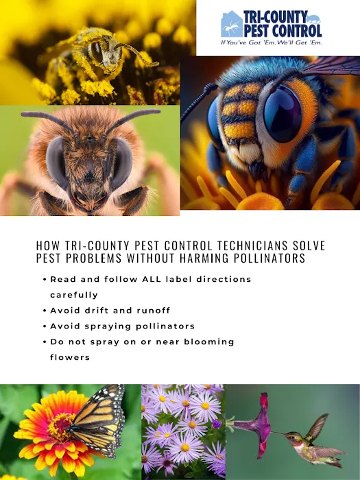 Tri-County Pest Control Picture 3