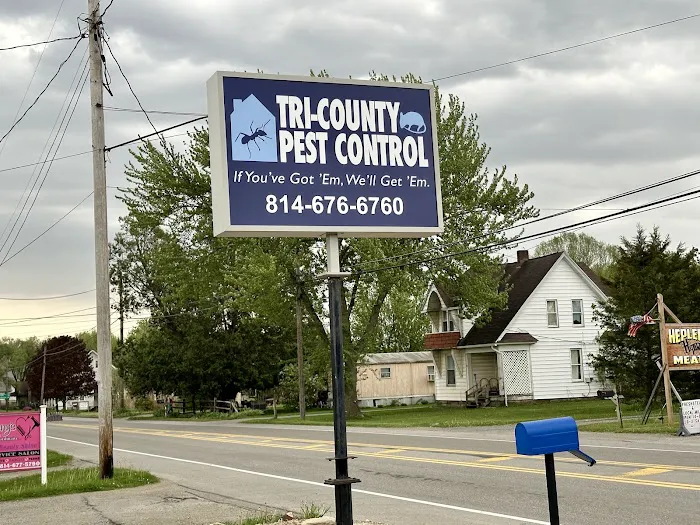 Tri-County Pest Control Picture 7