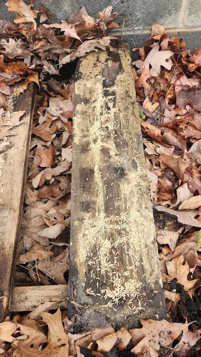 Mid-State Pest Control Picture 2