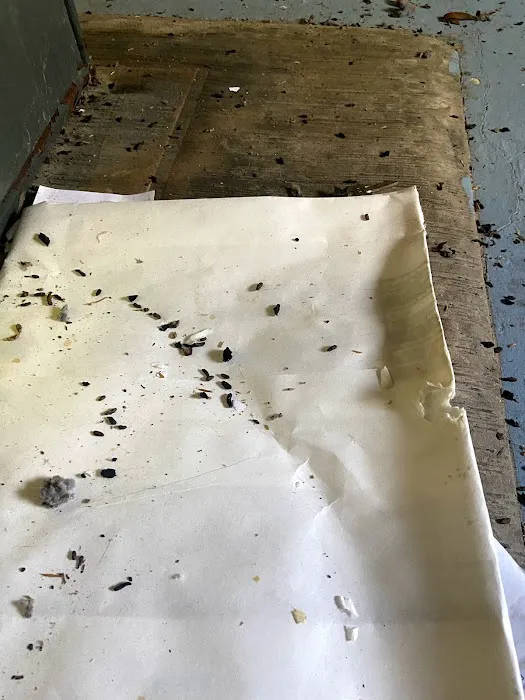 The Bug Man Termite and Pest Control Picture 9