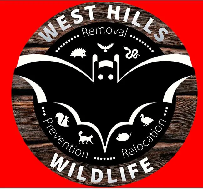 West Hills Wildlife Picture 10