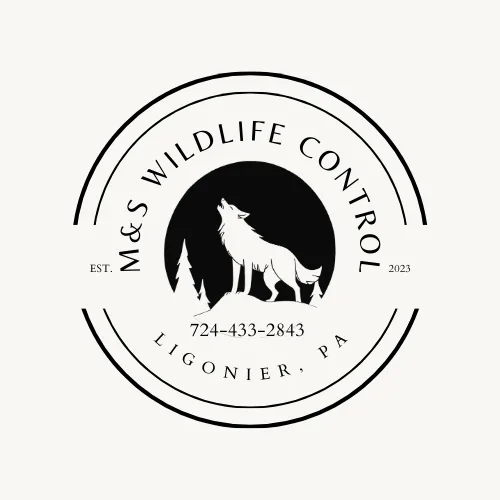 M&S Wildlife Control Picture 1
