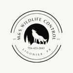 M&S Wildlife Control